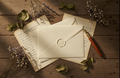 100 Premium Envelopes